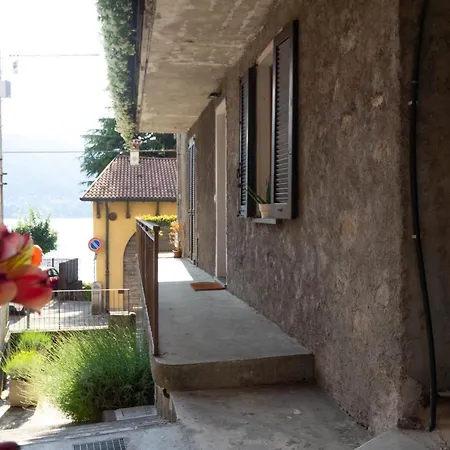 Mamma Ciccia - Root 11